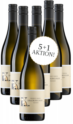 Bild von Wein des Monats Juli 5+1 Aktion - 2025er Grauburgunder trocken