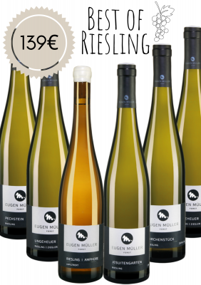 Bild von Best of Riesling - Paket 2026
