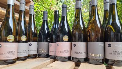 Bild von 12er Probierpaket RIESLING und BURGUNDER