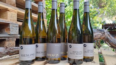 Bild von 6er Probierpaket Riesling