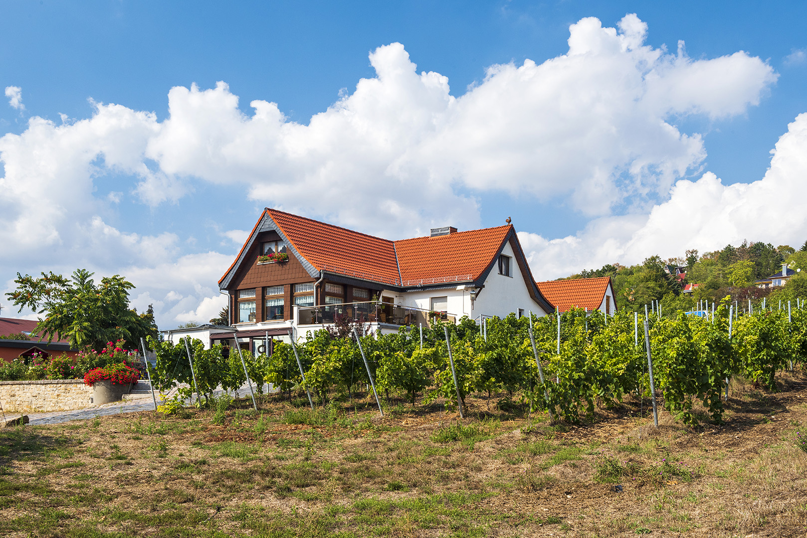 hofverkauf in freyburg